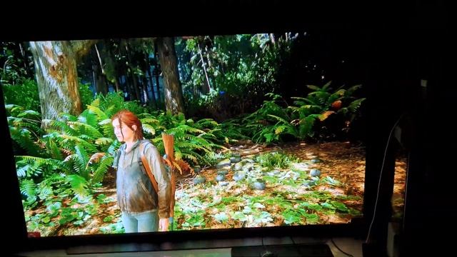 TLOU 2 LG Vivid mode LG OLED 55 C1/PS4 PRO смотреть онлайн