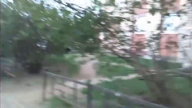 ЕЩЁ ОДНА ПРОГУЛКА✨ 19 МАЯ🔥 ШОК КОНТЕНТ😏 смотреть онлайн