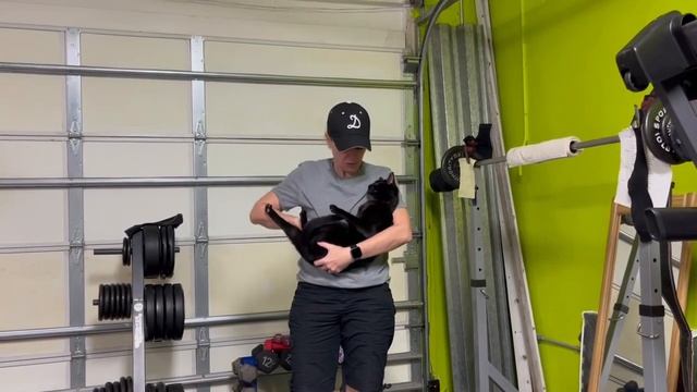 Video of adoptable pet named Shadow (MCR) смотреть онлайн