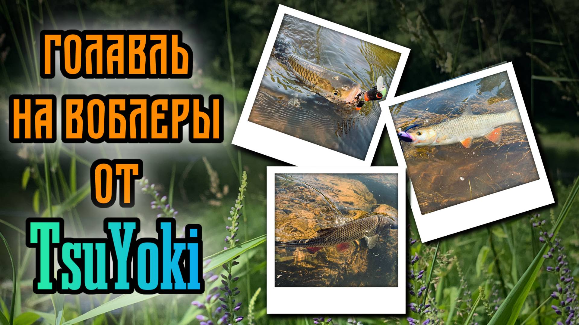 Ловля Голавля на воблеры TsuYoki kiki 54f, Agent 40ssr и т.д. | Приучаю товарища к спиннингу. смотреть онлайн
