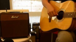 belcat Acoustic15C