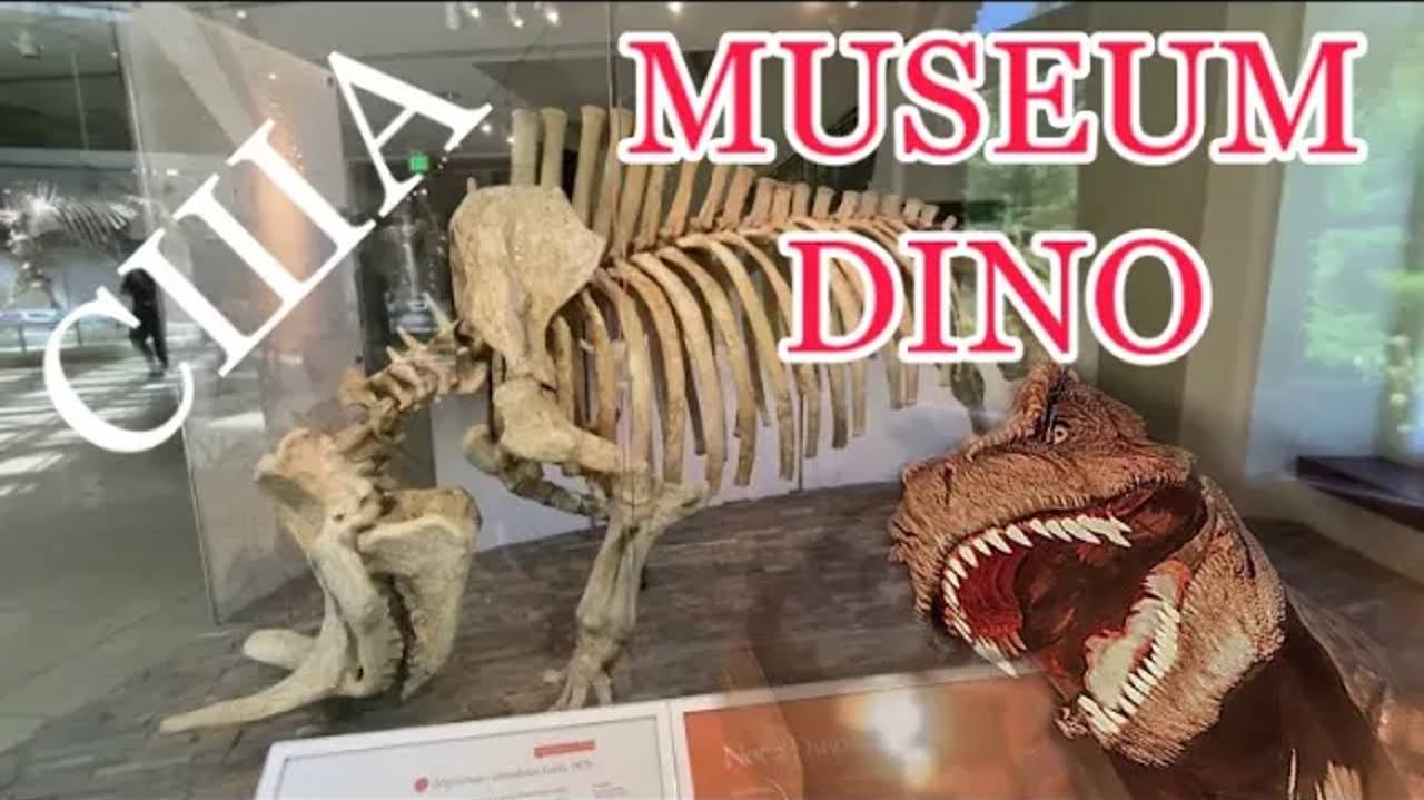 CША. Музей динозавров в Америке. Палеонтологический музей. Доисторический музей. Макеты динозавров. смотреть онлайн