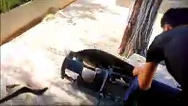 Endi nexia pechkasidan muommo yoʻq. Isitmayaptimi videoni koʻring. смотреть онлайн