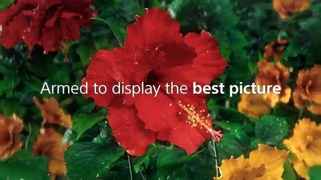 what soundtrack is this? Latest Sony Bravia tv ad 2021 смотреть онлайн