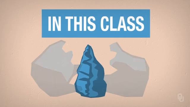 Practical Importance of Human Evolution смотреть онлайн