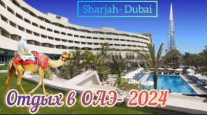 ОАЭ -2024. Оксидентал Шарджа Гранд отель. Отдых в сентябре.