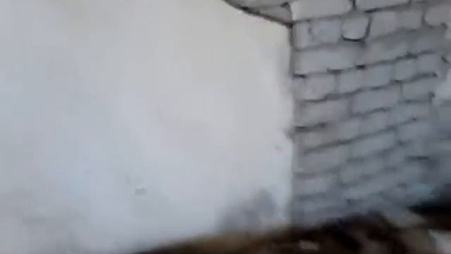 (Рыбинск) маюсь дурью на заброшенном комбинате) смотреть онлайн