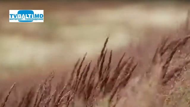Усиление ветра на всей территории страны 20 10 21 смотреть онлайн