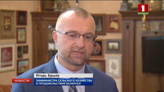 Беларусь планирует заработать до 2 млн долларов на экспорте говядины смотреть онлайн