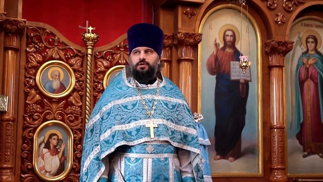 Проповедь иерея Максима Пчелы смотреть онлайн