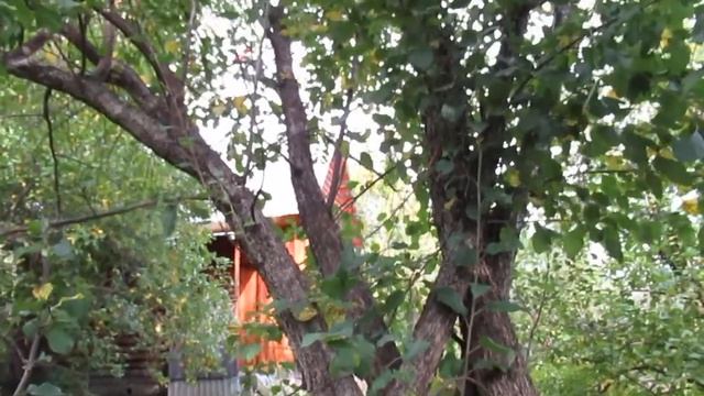 Философия Сада смотреть онлайн