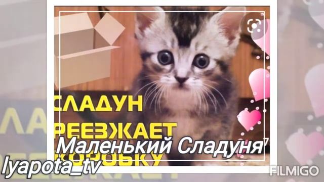 💖Ляпота ТВ💖Картинки❤Все ✨все  канала ляпота тв✨