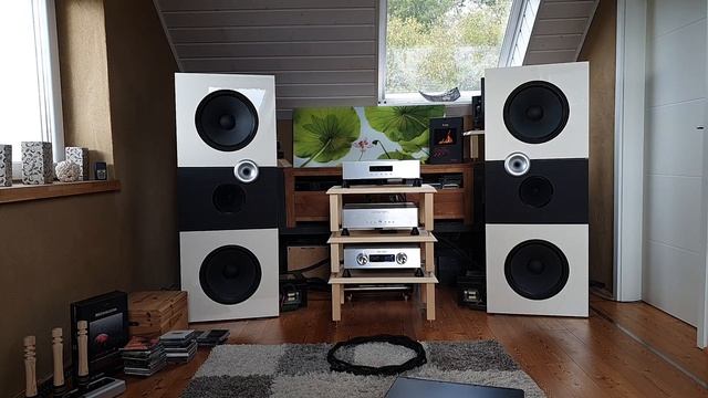OMG!!! Niagara 7000 with Dragon Westdeutsche Hifi Tage Bonn 2019 Raum 261 смотреть онлайн