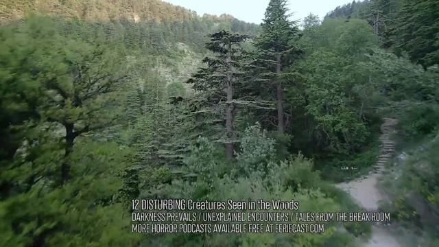 12 DISTURBING Creatures Seen in the Woods смотреть онлайн