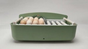 Инкубатор HHD 32 WONEGG