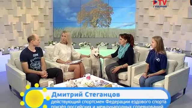 Утро Вместе на TV Губерния с ФЕС ВО и Хаски36 смотреть онлайн