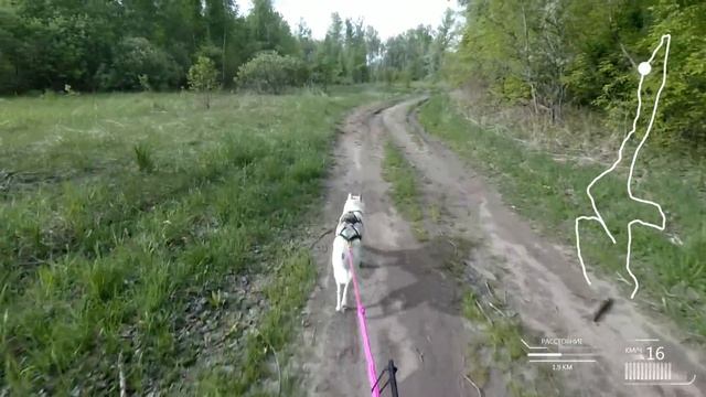 Алтай июнь 2018-2 смотреть онлайн