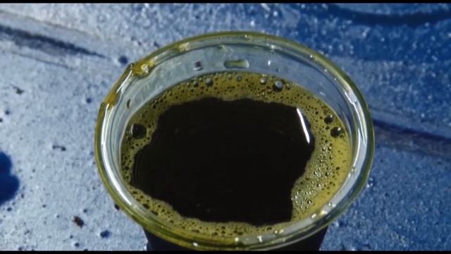 Белореченское актуально на 2021 смотреть онлайн