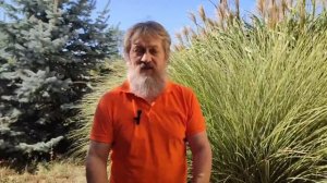 Выход в астрал чем опасен?