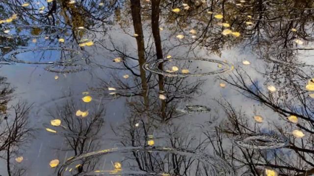 Осенний футаж. Дождик капает в воду смотреть онлайн