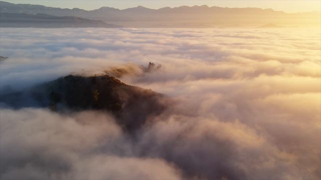 Pavel Velchev - Retro Dog (Retro Waves in Fashionable Sound) смотреть онлайн