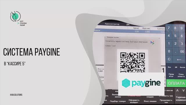 Платёжная система «Paygine» в «Кассире 5» смотреть онлайн