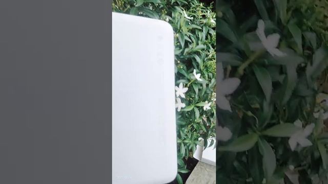 অরজিনাল শাওমি এমআই পাওয়ার ব্যাংক। Orginal Xiaomi mi Power Bank 20000mah। смотреть онлайн