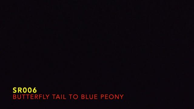 SR 006 1.2” x 9 Butterfly tail to blue peony (MA) смотреть онлайн