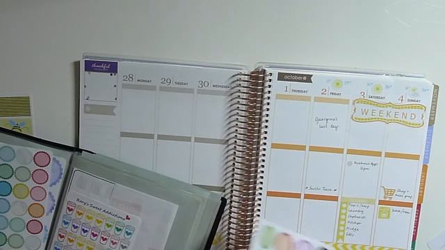PLAN WITH ME: WEEK 40 | Spring Theme | ERIN CONDREN LIFE PLANNER смотреть онлайн