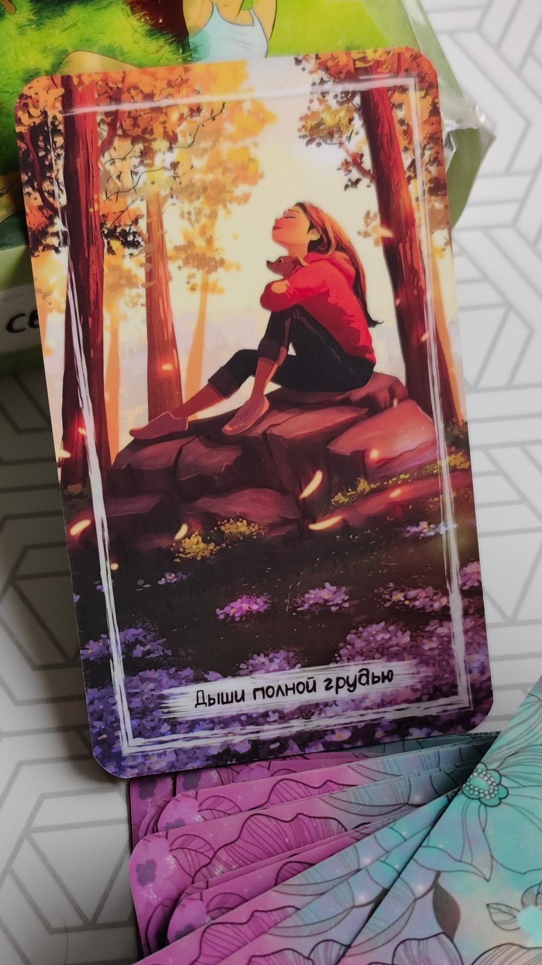 1 НОЯБРЯ 2024 смотреть онлайн