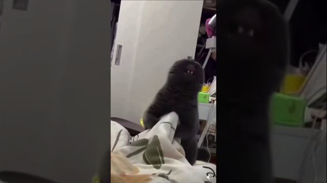 Злодей смотреть онлайн