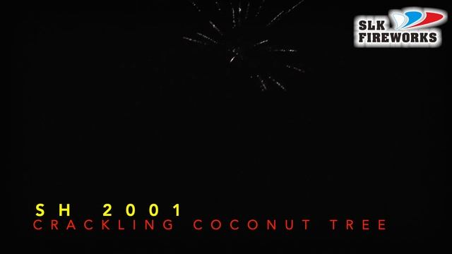 2" SH 2001 Crackling coconut tree смотреть онлайн
