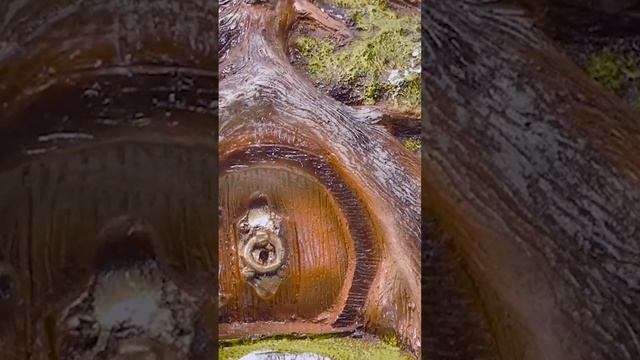 Эксперименты ХИТСАД смотреть онлайн