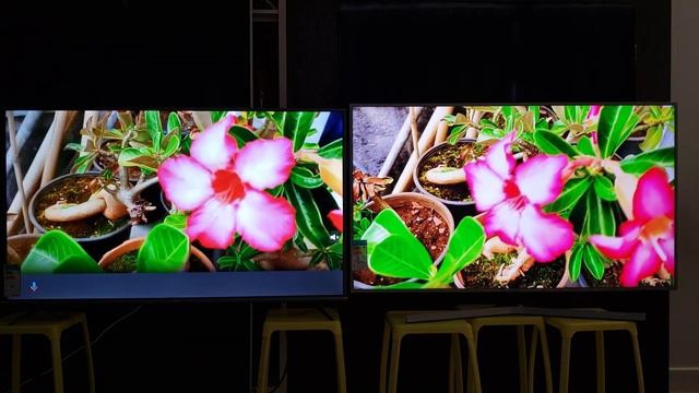 TV 4K SAMSUNG 55" RU7450 VS TCL 55" P8M COMPARATIVO / ANÁLISE / REVIEW / TESTE QUAL É MELHOR ? смотреть онлайн