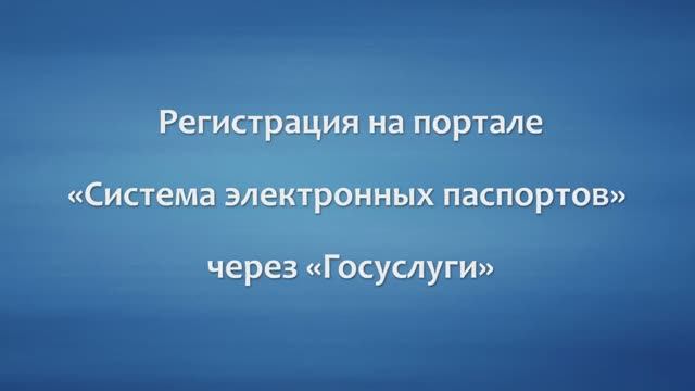 Import Life | Импорт лайф