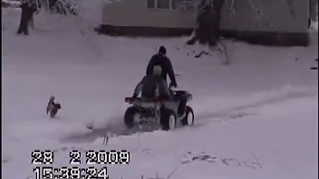 grizzly 700 смотреть онлайн