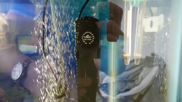 Cobalt Aquatics Neo-Therm Heater - Product Review! смотреть онлайн