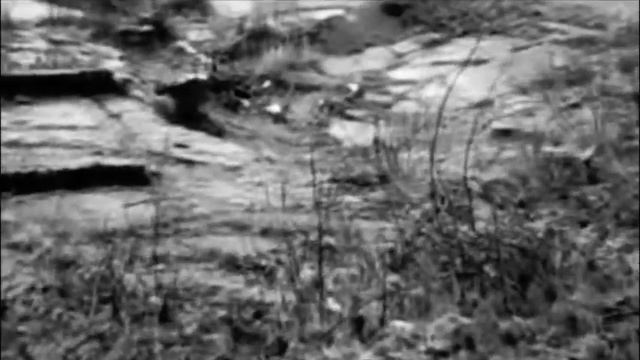 Ponder inspired by Stalker смотреть онлайн