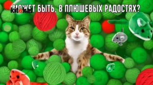 [ИТВ] Переход в 16:9 и смена логотипа (Kitekat TV, 05.01.2022)