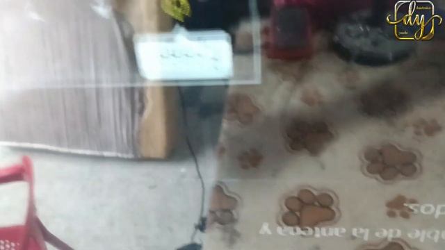 TV SAMSUNG UN43J5290 PANTALLA CON PROBLEMA EN UN SECTOR смотреть онлайн