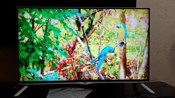 LG диагональ 40 дюймов