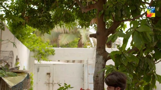 Soteli Maamta Episode 45 HUM TV Drama 26 April 2020 смотреть онлайн