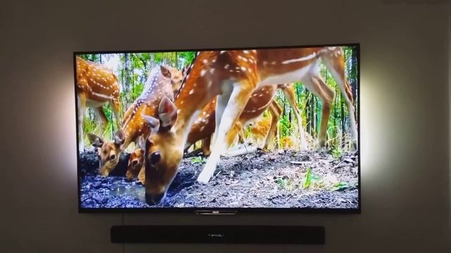 Philips Ambilight - 55inch - 3D LED TV