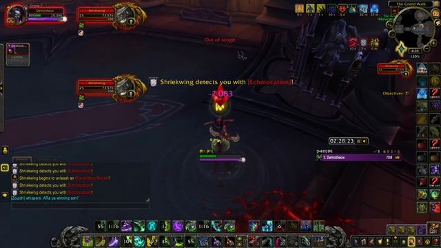 Solo Shriekwing Through 2 Hours Berserk смотреть онлайн