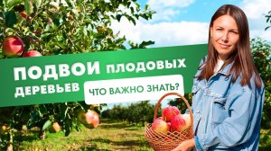 Подвои плодовых деревьев. Что важно знать? #подвои #сад #огород #плодовыедеревья #яблоня #груша