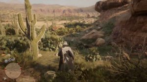 RDR 2 online Собака привела вас к интересной находке