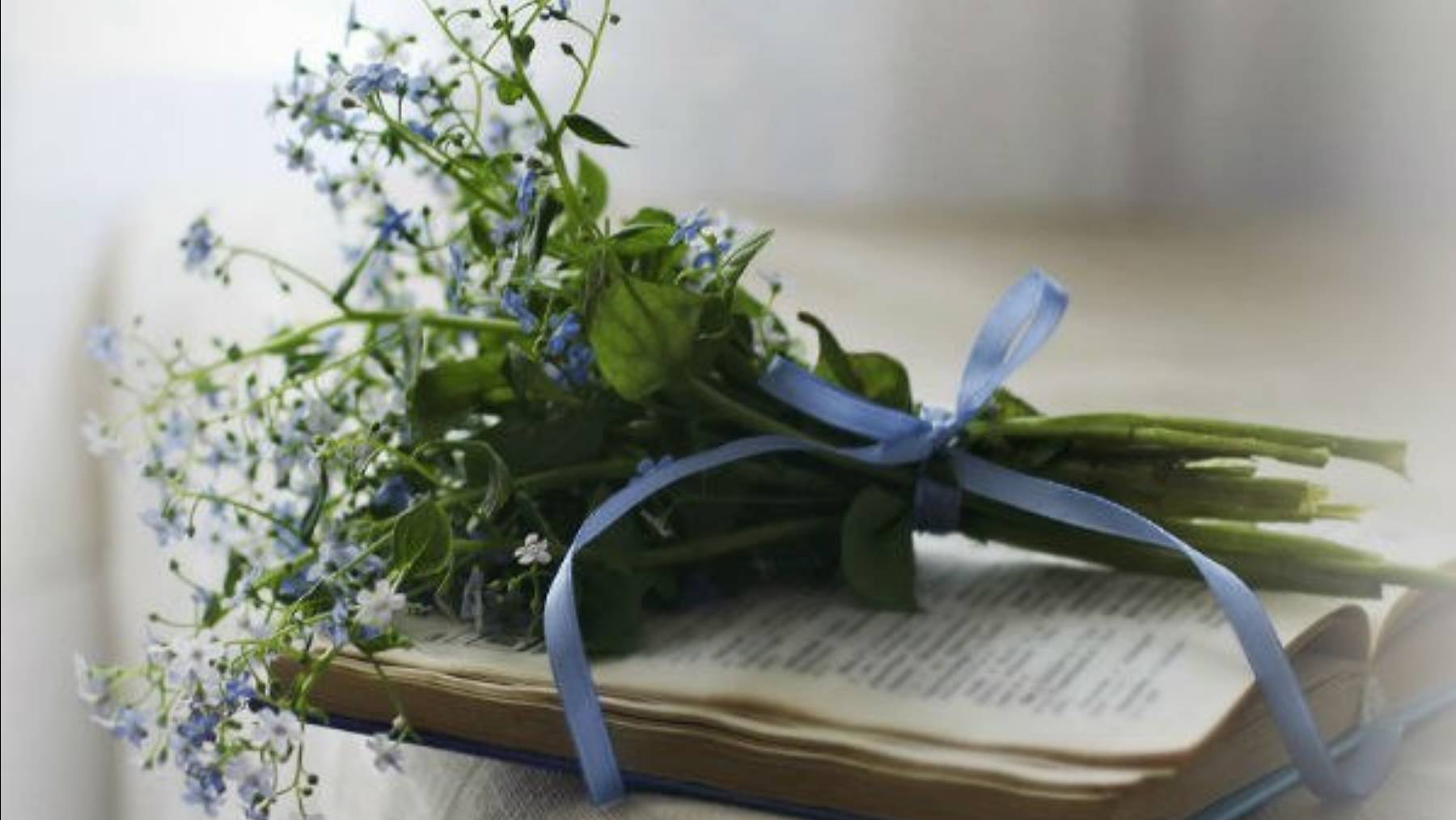 Сборник романсов. Барды смотреть онлайн