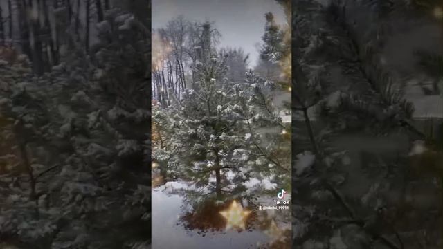 1000030893.mp4 смотреть онлайн