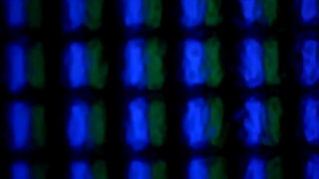 LCD Display Pixels Under A MicroScope x200- Under ''D'' Microscope смотреть онлайн