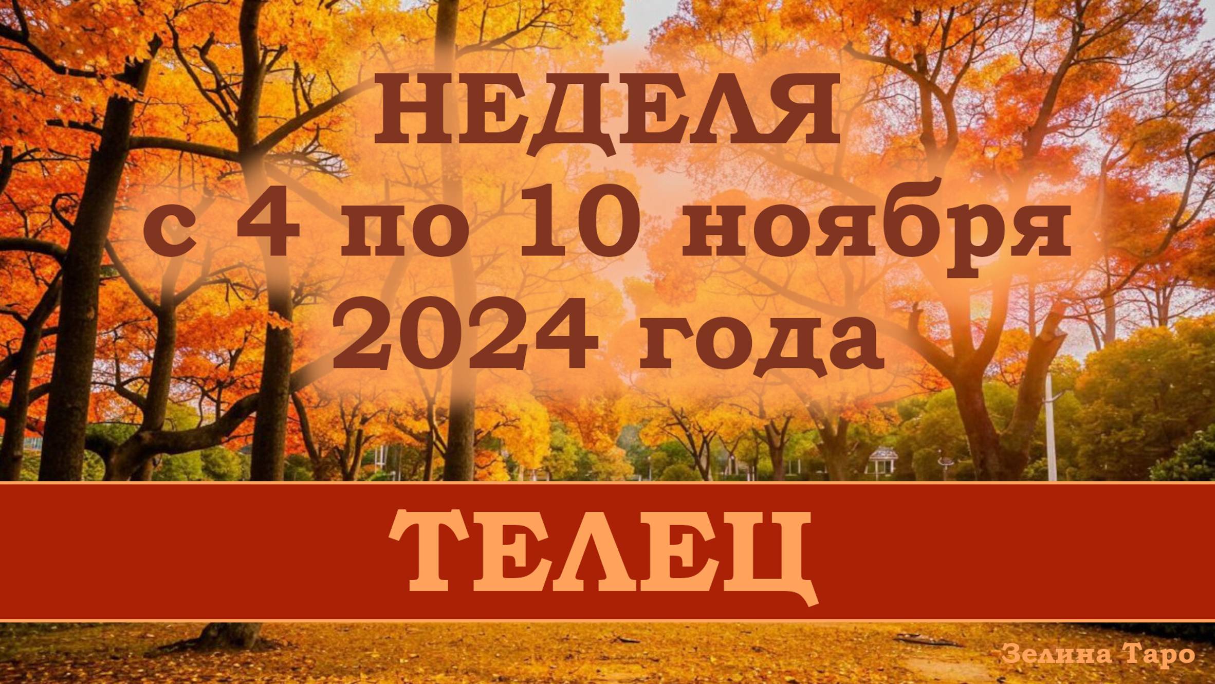 ТЕЛЕЦ | ТАРО прогноз на неделю с 4 по 10 ноября 2024 года